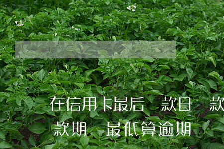 在信用卡最后還款日還款算逾期不（信用卡還款期還最低算逾期嗎）