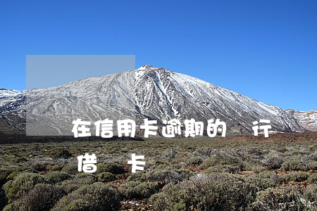 在信用卡逾期的銀行辦銀行卡（信用卡逾期 辦借記卡）