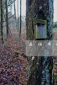 在信用社貸款三十萬(wàn)無(wú)力償還怎么辦-在信用社貸款三十萬(wàn)無(wú)力償還怎么辦理