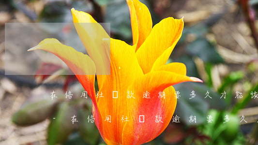 在信用社貸款逾期要多久才能恢復(fù)-在信用社貸款逾期要多久才能恢復(fù)征信