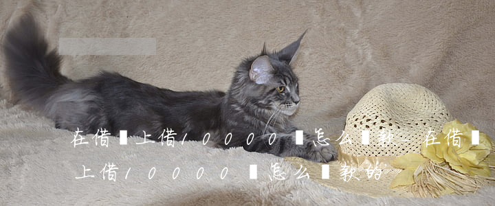 在借唄上借10000塊怎么還款-在借唄上借10000塊怎么還款的