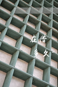 在借唄上借三千塊錢(qián)可以逾期多久-在借唄上借三千塊錢(qián)可以逾期多久呢