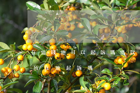 在借錢地可以起訴嗎(借款糾紛可以在出借人所在地起訴嗎)