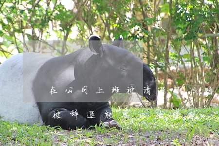 在公司上班被请退可以赔偿(在公司犯了错误,被辞退,能要求赔偿吗)