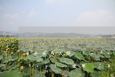 在公安局上班網(wǎng)貸逾期(網(wǎng)貸逾期會(huì)被警察抓嗎)