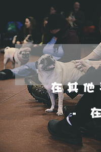 在其他平臺(tái)逾期了在閃銀可以借嗎-在其他平臺(tái)逾期了在閃銀可以借嗎