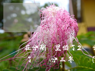 在分期樂里借了2萬分3年還款-分期樂借了兩萬分三年還現(xiàn)在要還四萬多怎么辦