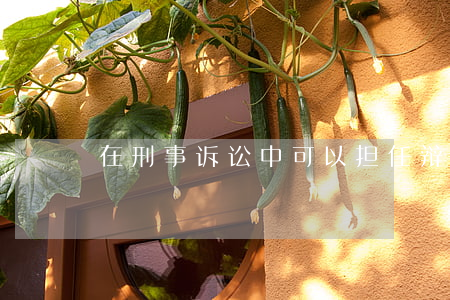 在刑事诉讼中可以担任辩护人的条件是什么