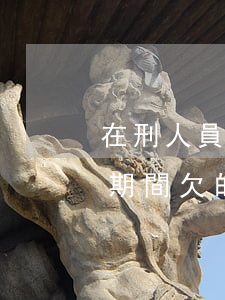 在刑人員欠的網(wǎng)貸怎么弄(服刑期間欠的網(wǎng)貸怎么辦)