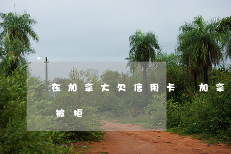 在加拿大欠信用卡錢(加拿大信用卡欠款入境被拒)