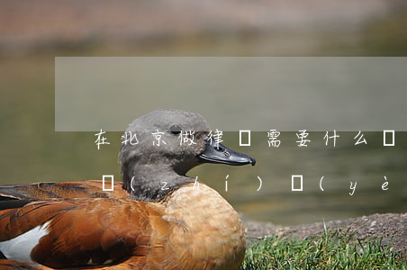 在北京做律師需要什么條件(在北京申請律師執(zhí)業(yè)的條件)