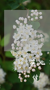 在北京工地受傷如何賠償(在工地受傷怎么賠付)