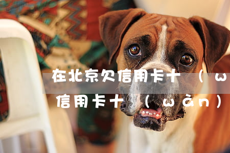 在北京欠信用卡十萬(wàn)-在北京欠信用卡十萬(wàn)怎么辦