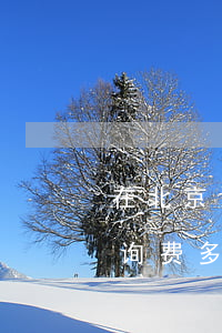 在北京请律师费用是多少(北京律师事务所咨询费多少钱)