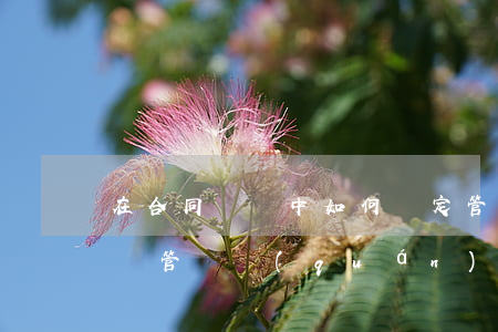 在合同糾紛中 如何確定管轄法院(合同糾紛訴訟管轄權(quán)的規(guī)定)