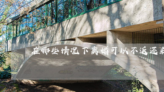 在哪些情况下离婚可以不返还彩礼