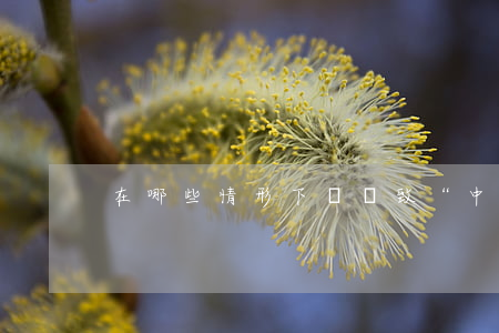在哪些情形下會導致“中標無效”