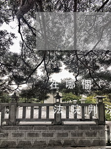 在哪個(gè)網(wǎng)站可以查到法院判決書(在哪個(gè)網(wǎng)站可以查到法院判決書)