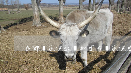 在哪個法院起訴都可以嗎(法院可以被起訴嗎)