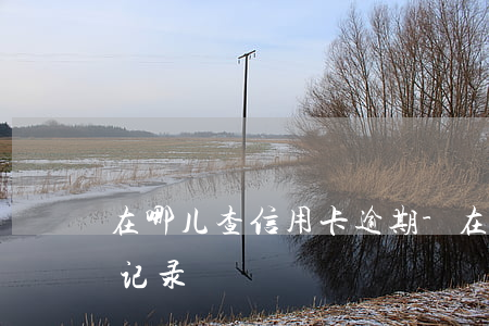 在哪儿查信用卡逾期-在哪儿查信用卡逾期记录