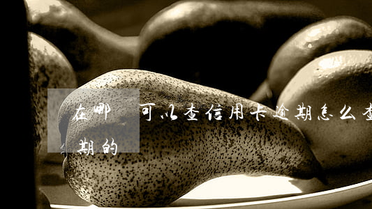 在哪兒可以查信用卡逾期(怎么查信用卡有逾期的)