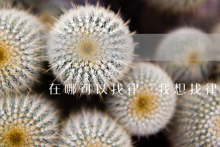 在哪可以找律師(我想找律師怎么找)