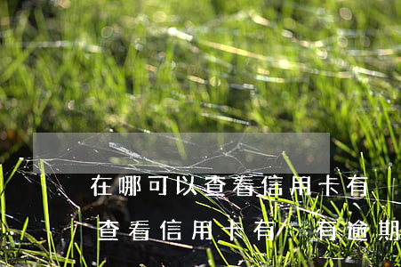 在哪可以查看信用卡有沒有逾期-在哪可以查看信用卡有沒有逾期記錄
