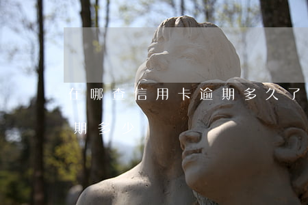 在哪查信用卡逾期多久了-怎么查信用卡逾期多少錢