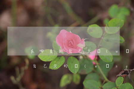 在哪查到自己欠網(wǎng)貸(如何查詢自己欠的網(wǎng)貸)