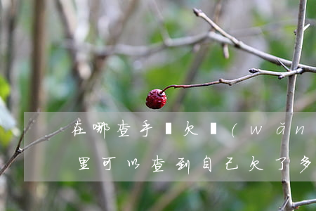 在哪查手機欠網(wǎng)貸多少錢(在哪里可以查到自己欠了多少網(wǎng)貸)