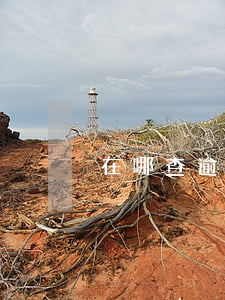 在哪查逾期 逾期哪里查询