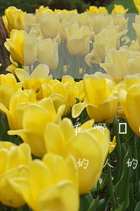 在哪發(fā)布欠網(wǎng)貸不還的人的資料(網(wǎng)貸找不到欠款人怎么辦)