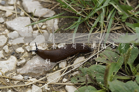 在哪看信用卡逾期多少天(信用卡逾期幾天算逾期)