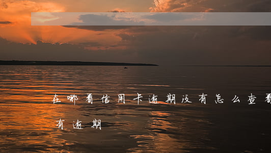 在哪看信用卡逾期没有(怎么查看信用卡是否有逾期)