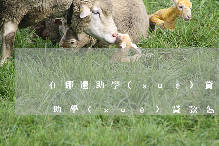 在哪還助學(xué)貸款逾期利息(逾期的助學(xué)貸款怎么還)