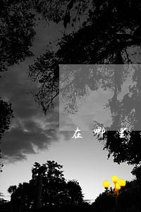 在哪里免费查自己欠多少网贷