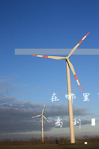 在哪里可以告網(wǎng)絡(luò)高利貸(網(wǎng)絡(luò)放高利貸犯法嗎)