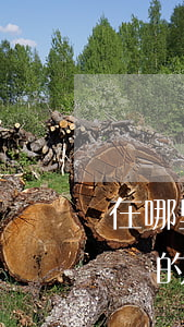在哪里可以找到免費法律援助(去哪里申請免費的法律援助)