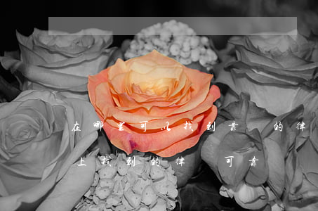 在哪里可以找到靠譜的律師(網(wǎng)上找到的律師可靠嗎?)