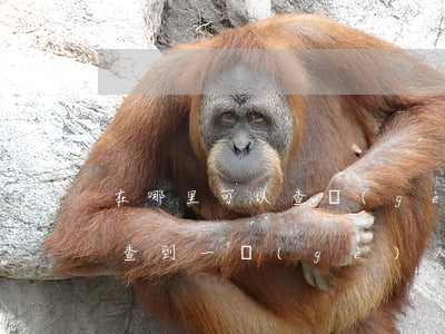 在哪里可以查個(gè)人信息(在哪里可以查到一個(gè)人的個(gè)人信息)