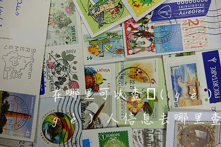在哪里可以查個(gè)人信息(怎樣查個(gè)人信息,去哪里查)