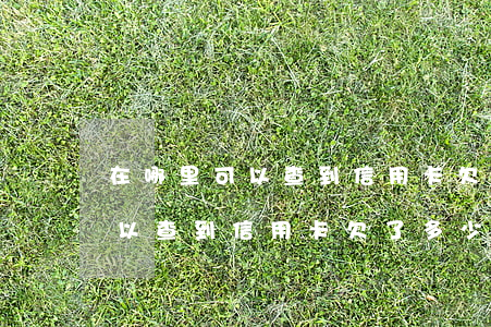在哪里可以查到信用卡欠了多少-在哪里可以查到信用卡欠了多少钱