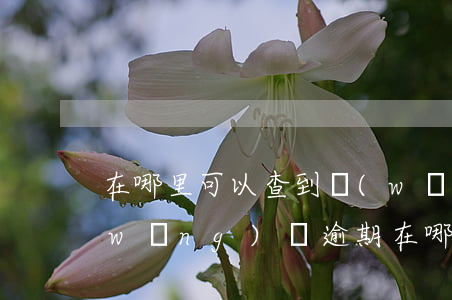 在哪里可以查到網(wǎng)貸逾期(網(wǎng)貸逾期在哪里查詢)