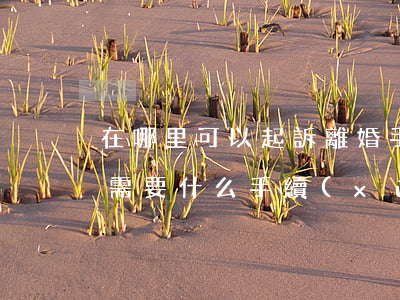 在哪里可以起訴離婚手續(xù)(起訴離婚需要什么手續(xù),怎么辦理)