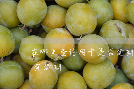 在哪里查信用卡是否逾期(如何查信用卡有沒有逾期)