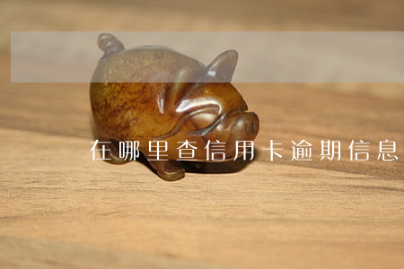 在哪里查信用卡逾期信息(信用卡逾期如何查詢)
