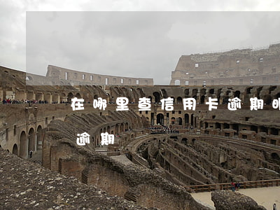 在哪里查信用卡逾期明细(如何查哪张信用卡逾期)