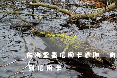 在哪里查信用卡逾期沒有(信用卡逾期后查不到信用卡)