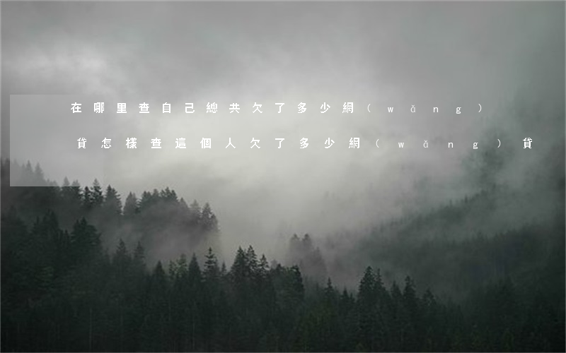 在哪里查自己總共欠了多少網(wǎng)貸(怎樣查這個人欠了多少網(wǎng)貸)