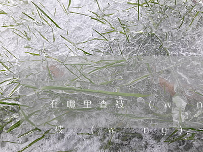 在哪里查被網(wǎng)貸起訴(怎么查詢被網(wǎng)貸起訴)